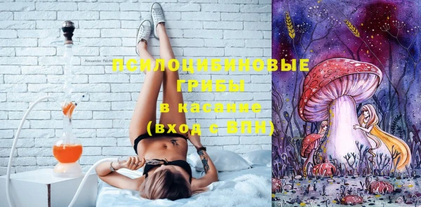 гашик Ладушкин