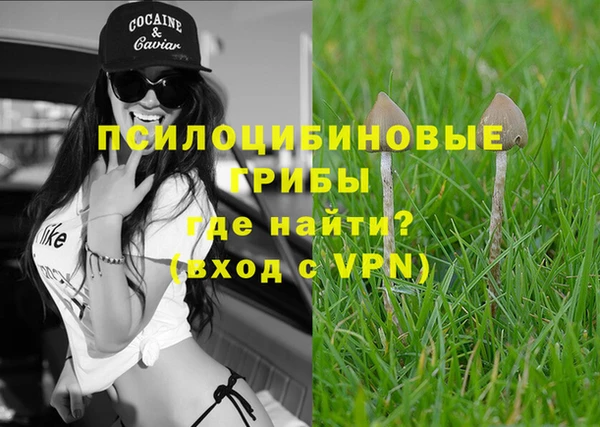 ПСИЛОЦИБИНОВЫЕ ГРИБЫ Кулебаки