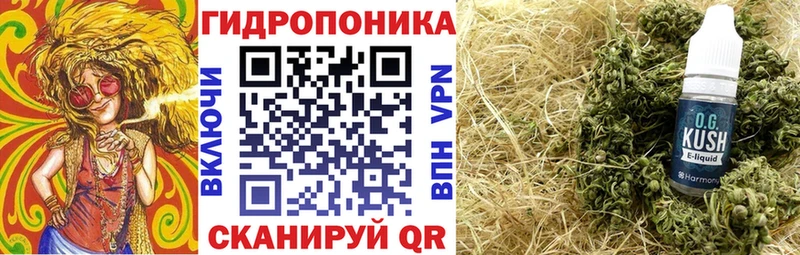 Купить  Качканар  Каннабис Amnesia 